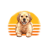 Golden retriever