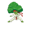 Brocco-Lee