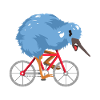 Vélo Kiwi