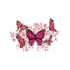 Flowers and butterflies