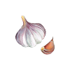 Garlic | Bestseller |