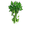 Se’la rie - Céleri Légumes Drôle