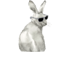 Bunnies rabbits easter