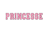 Princesse comptable
