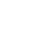 Skis de ski