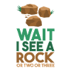 Wait I See A Rock