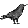 Krähenrabe