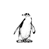 Penguins Funny Tee Shirt