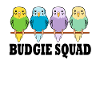 Budgie Squad Funny Parrot Team