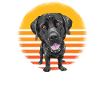 Labrador
