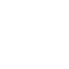 Car Auto
