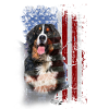 Bernese Mountain Dog