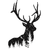 Hirsch