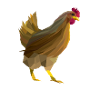 Lowpoly hen - Nyhaux