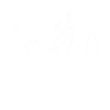 ski