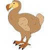 Dodo