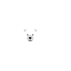 Titours