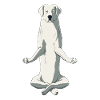 Meditate Owczarek Podhalanski Dog