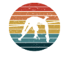 Retro high jump