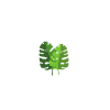 Plant Dad - Houseplants