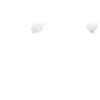 Diesel Graphic