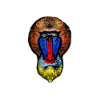 Painted Baboon