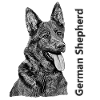German Shepherd German Shepherd drawing