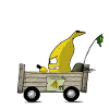 BANANA