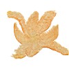 Orange peel