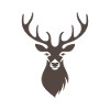 Deer Animal Hirsch