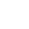 Oiseau-tonnerre - Thunderbird , Amérindien
