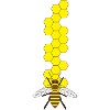Bee + honeycomb