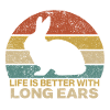 Rabbit retro