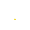 Scout Campfire