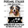Australian Shepherd