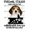 beagle