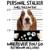 Basset Hound