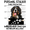 Berner Sennenhund