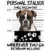 boxer