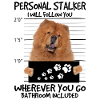 Chow Chow