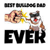 English bulldog