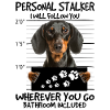 dachshund