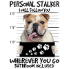 Bulldog anglais