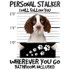 English Springer Spaniel