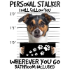 Jack Russel
