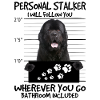 Neufundländer
