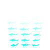 shark