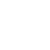 Mechanic Mechanic Dad