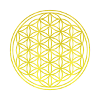 FLOWER OF LIFE