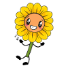Sonnenblume